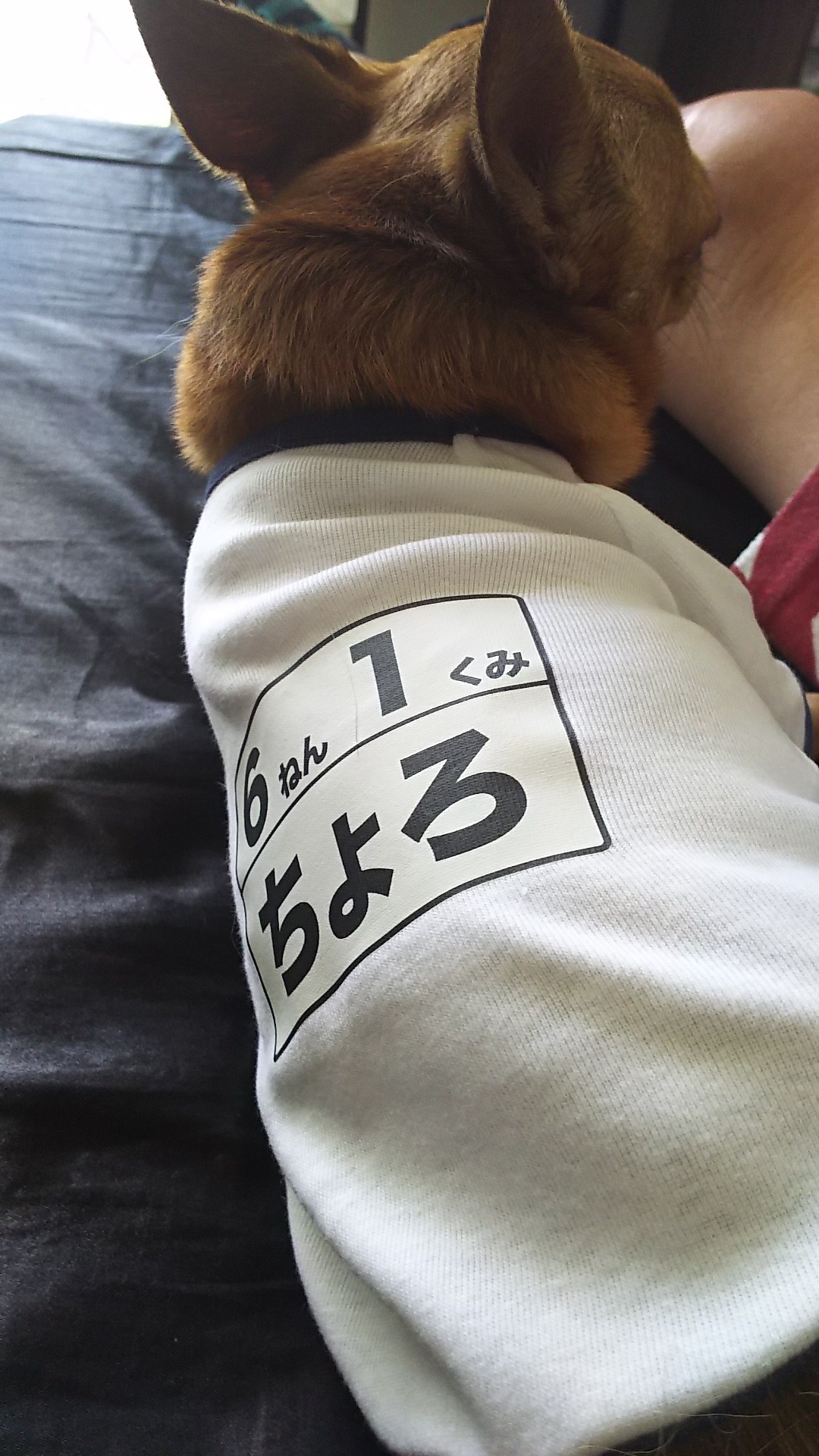 13年間の絆